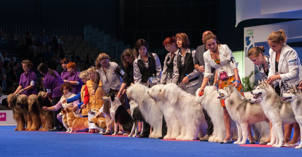 Question of the Week